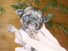 20060601cilm1kao.JPG