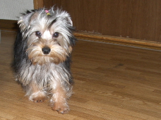 200606041.JPG