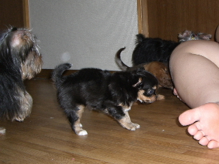 2006060410.JPG