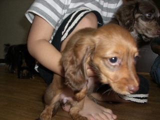 2006060411.JPG