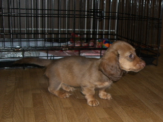 2006060413.JPG