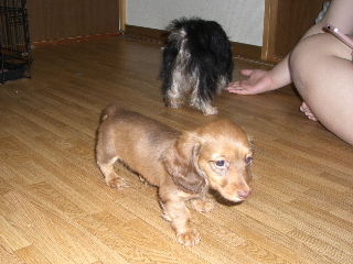 2006060415.JPG