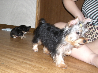 2006060416.JPG