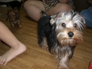 2006060417.JPG