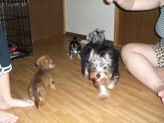 2006060418.JPG