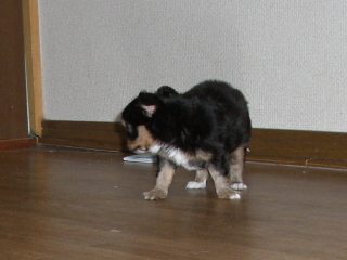2006060419.JPG