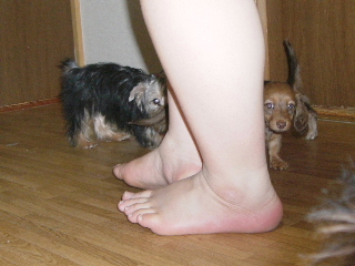 200606042.JPG