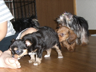 200606043.JPG