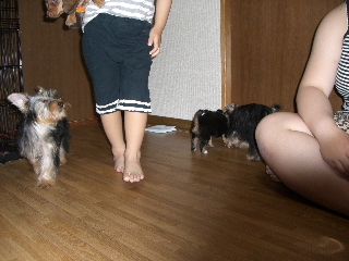 200606044.JPG