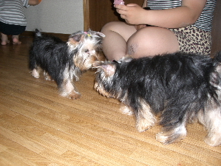 200606045.JPG