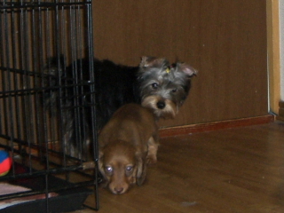 200606046.JPG
