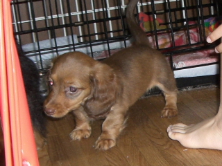 200606047.JPG