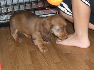 200606048.JPG