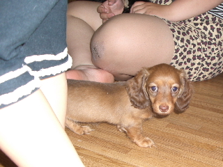 200606049.JPG