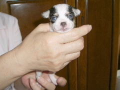 20060612prttnf1.JPG