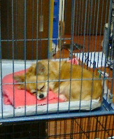 20061007184816.jpg