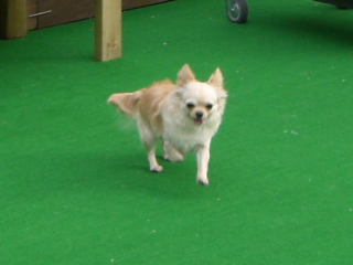 CIMG0177.JPG
