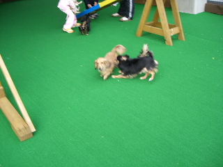 CIMG0210.JPG