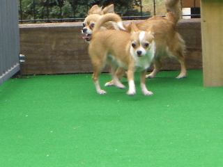 CIMG0244.JPG