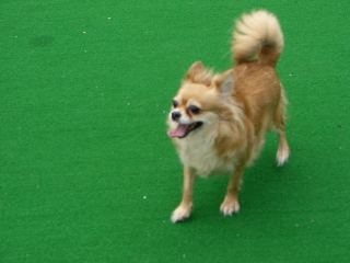 CIMG0247.JPG