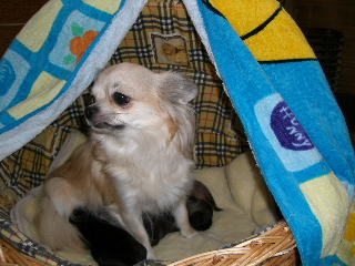 CIMG0702.JPG