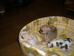 CIMG0950.JPG